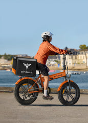 Engwe EP-2 PRO folding electric bike 